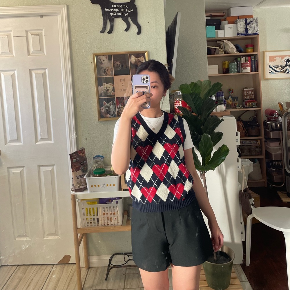 NWOT Brandy Melville Sweater Vest